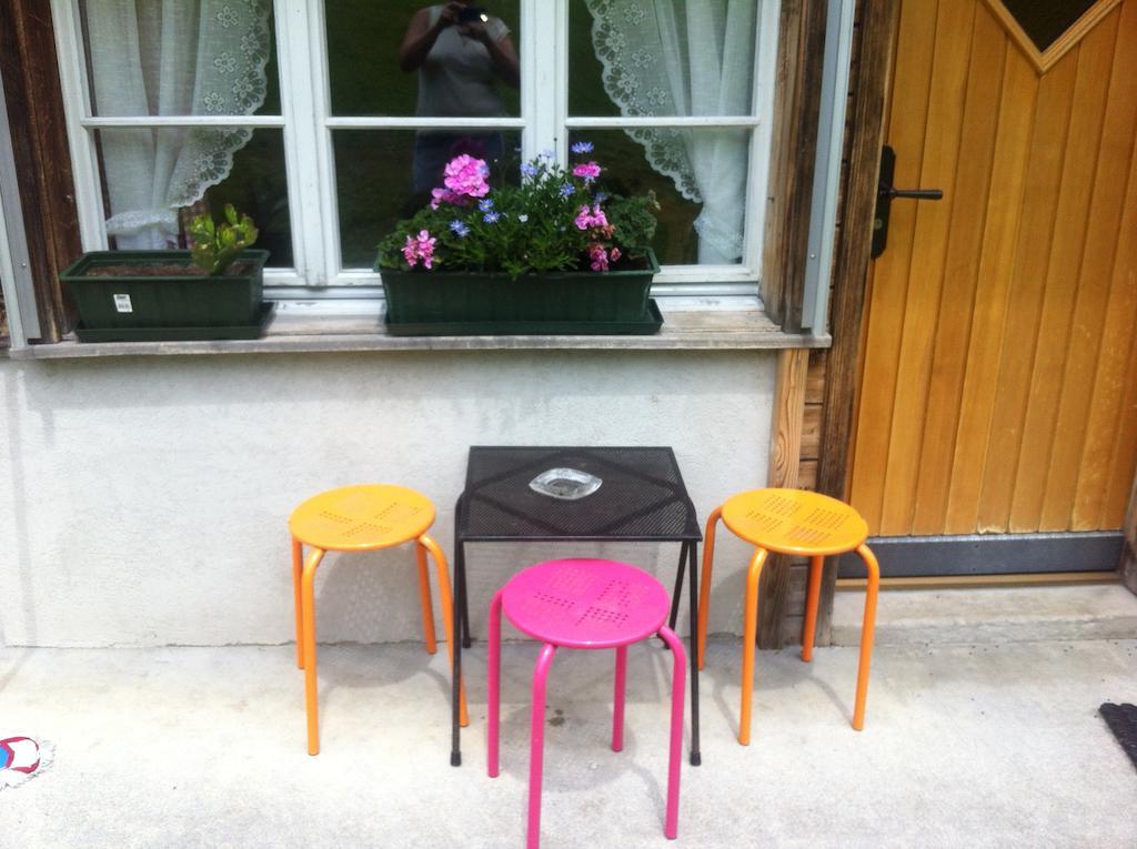 Ferienwohnung Im Gruenen グリンデルヴァルト 部屋 写真